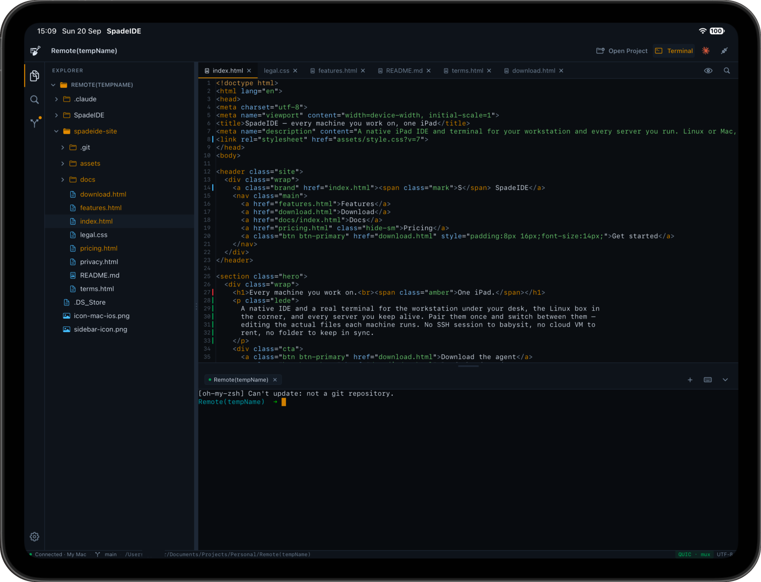 SpadeIDE on iPad — editor, explorer, source control and terminal
