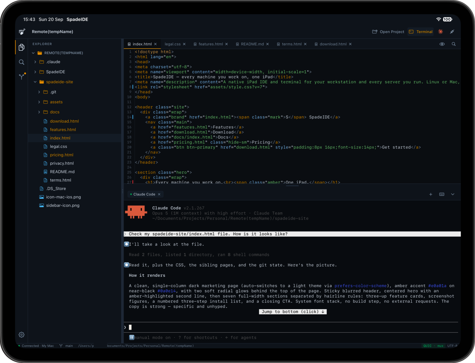 Terminal running an AI CLI on the host